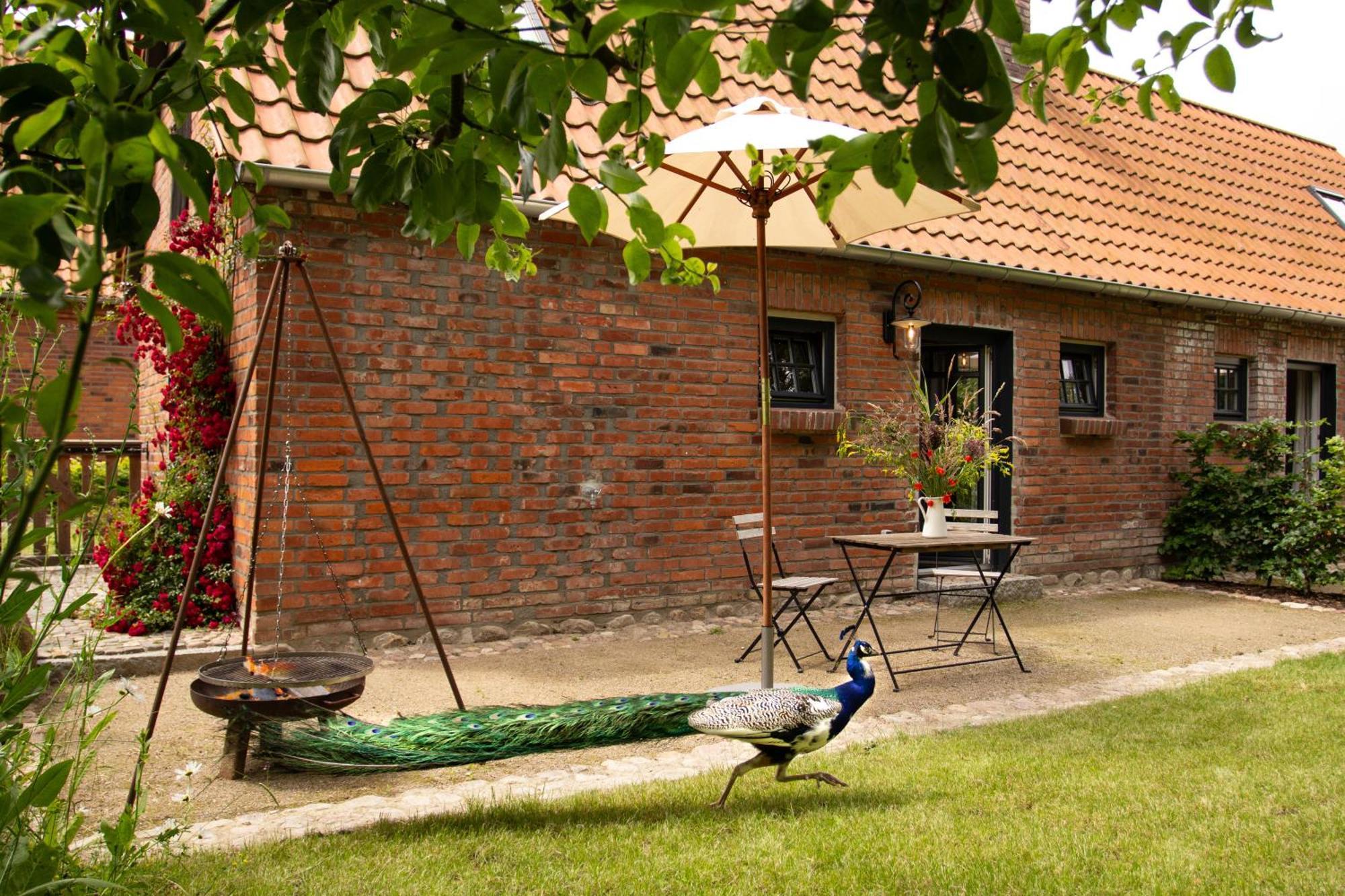 Kloster Tempzin Idyllisches Landhaus, Garten & Kamin, Fuer Paare 빌라 외부 사진